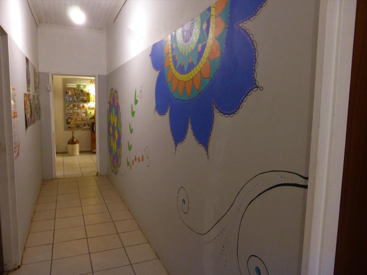 Orange Elephant Backpackers Albergue Addo Exterior foto